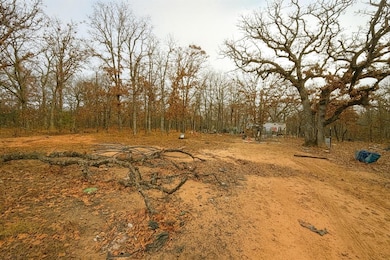 1485 189th Ave NE, Norman, OK 73026 - photo 4