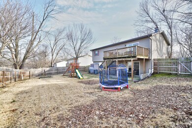 Back Yard 3