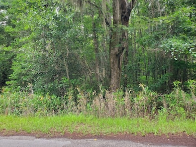 Stukes Rd Lot View 1