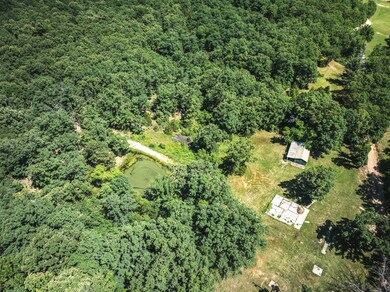 000 Highway 19, Cherryville, MO 65560 - photo 5