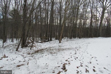 1129 Apple Orchard Cir, Berkeley Springs, WV 25411 - photo 4