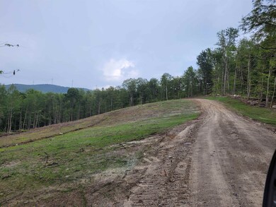 17-18 Halls Brook Rd, Groton, NH 03266 - photo 5