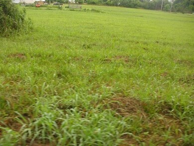 0 Choctaw Ln, Westville, OK 74965 - photo 3