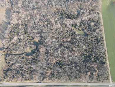 000 County Highway 7 County Rd, Cisne, IL 62823 - photo 5