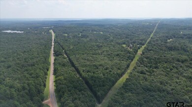 TBD Lot 4 Cactus Rd, Pittsburg, TX 75686 - photo 7