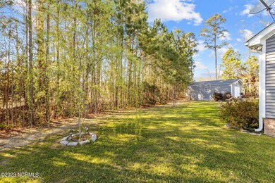 13-web-or-mls-IMGL7415