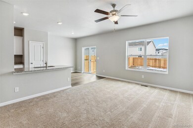 770 Twining Ave, Brighton, CO 80601 - photo 7