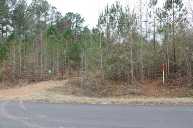 0 Crook Rd unit 440699, Lincolnton, GA 30817 - photo 3