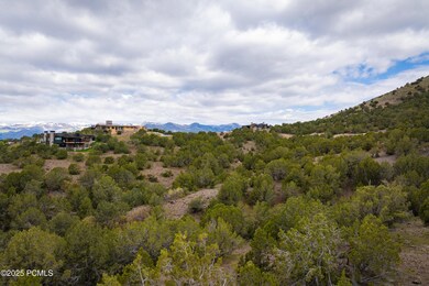 1456 Monroe Peak Circle-5