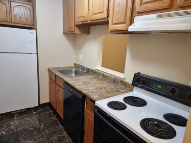 201 Thorndike St unit 3-02, Lowell, MA 01852 - photo 3