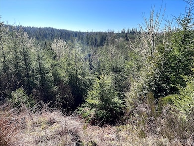 0 NKA Salmon Creek Rd, Toledo, WA 98591 - photo 3