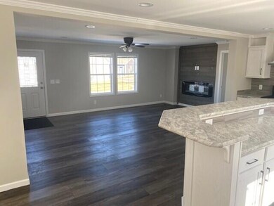 Pic 11