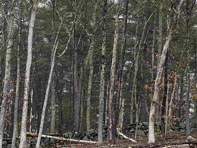 6 Chapin Rd, Windham, NH 03087 - photo 5