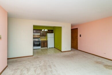 1243 Brown St unit 3A, Des Plaines, IL 60016 - photo 4