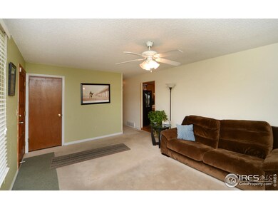 3780 Jackson Way, Thornton, CO 80233 - photo 7
