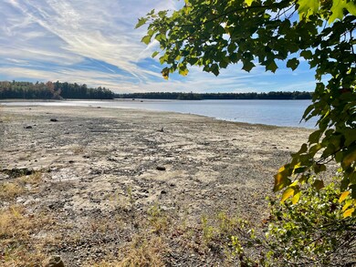 View of beach from woods