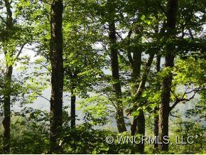 Mature Trees + View!