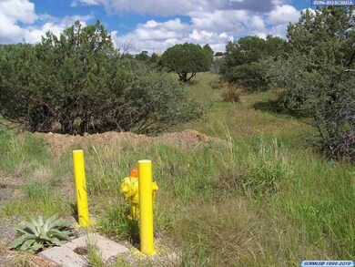 0000 Briarwood Ln, Silver City, NM 88061 - photo 2