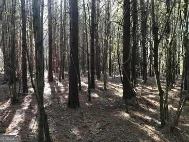 0 Hall Memorial Rd NW unit 9595, Calhoun, GA 30701 - photo 5