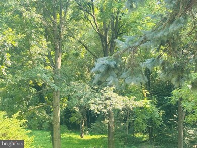 0 Foxianna Rd, Middletown, PA 17057 - photo 3