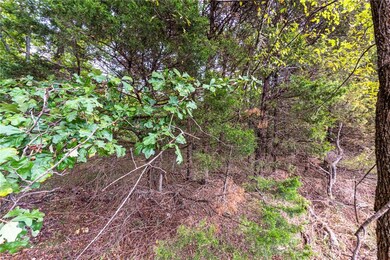 0 Mount T Bo Ln unit 1199064, Elkins, AR 72727 - photo 7