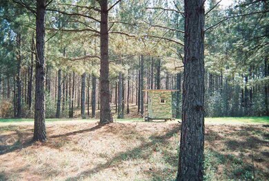 0 Andrew Chapel Rd unit 1273136, Brandon, MS 39042 - photo 6