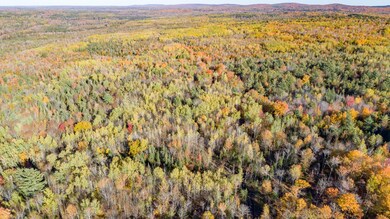DJI_0113