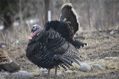 Photo provided by Owner