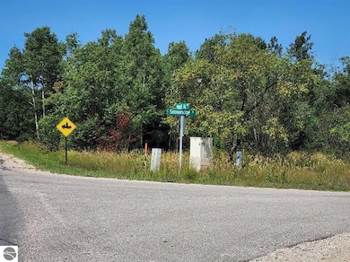 VL Snowridge Trail, Elmira, MI 49730 - photo 7