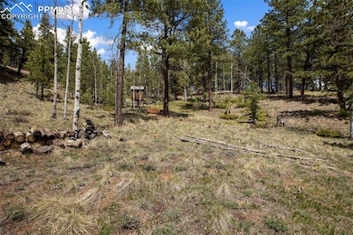 1011 W Bison Creek Trail, Divide, CO 80814 - photo 3