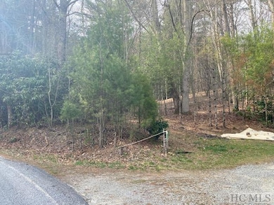 478 Windy Gap Rd, Cullowhee, NC 28723 - photo 7