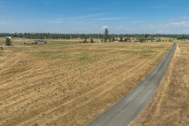 177XX S Smythe Rd, Spangle, WA 99031 - photo 3