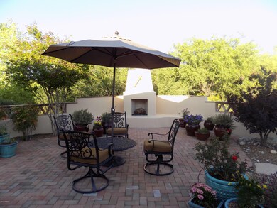 Backyard (4)