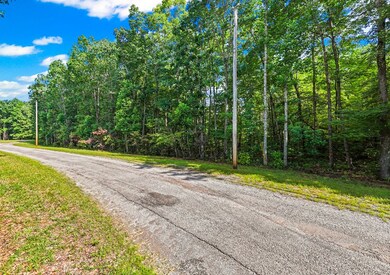 Lot 26 Little Place, Monterey, TN 38574 - photo 5