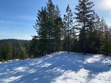 639 Forest Knolls Dr, Sandpoint, ID 83864 - photo 7