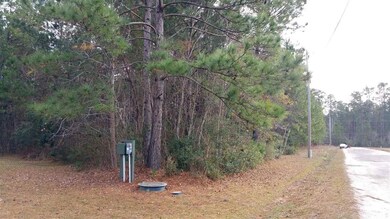 Lot S3 Wedgefield Rd, Georgetown, SC 29440 - photo 2