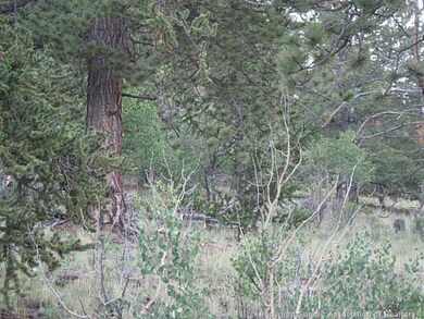 Land/Lot.