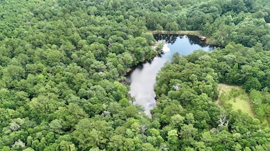 11375 Spring Lake Rd E, Chunchula, AL 36521 - photo 7