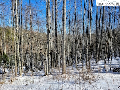 21 Eagle Landing Dr, Crumpler, NC 28617 - photo 7