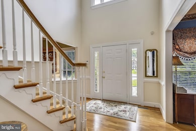 8329 Woodacre St, Alexandria, VA 22308 - photo 3