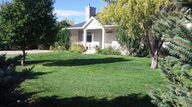 Front yard.jpg