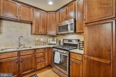 43087 Thoroughfare Gap Terrace, Ashburn, VA 20148 - photo 6