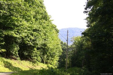 331 Hamlin Ln unit 331, Mars Hill, NC 28754 - photo 2