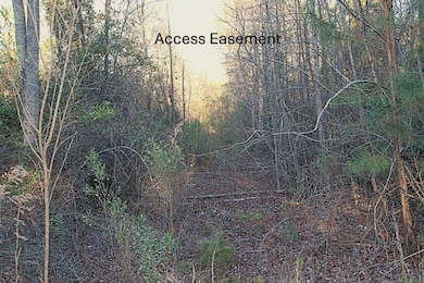 TBD O G Reynolds Rd, Ellerbe, NC 28338 - photo 5