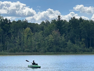 12045 Jenks St NE, Belding, MI 48809 - photo 2