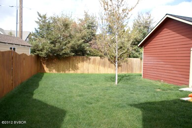 back yard