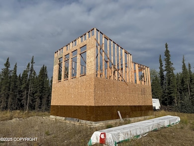 565 Chase Rd, Delta Junction, AK 99737 - photo 4