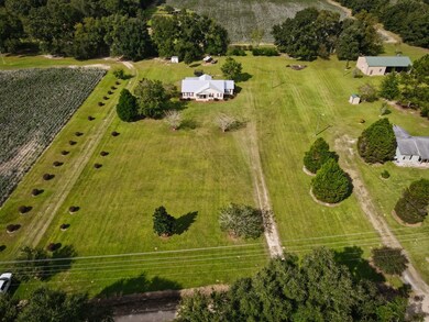 2069 Rook Rd, Ochlocknee, GA 31773 - photo 6