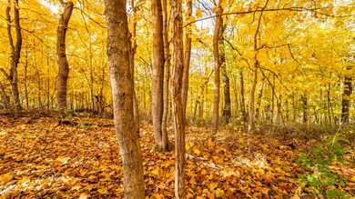 +/-46 Acres Bee Ln, Lancaster, WI 53813 - photo 7