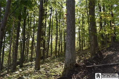 0 Route 380 unit R1636418, Ellicott, NY 14701 - photo 6